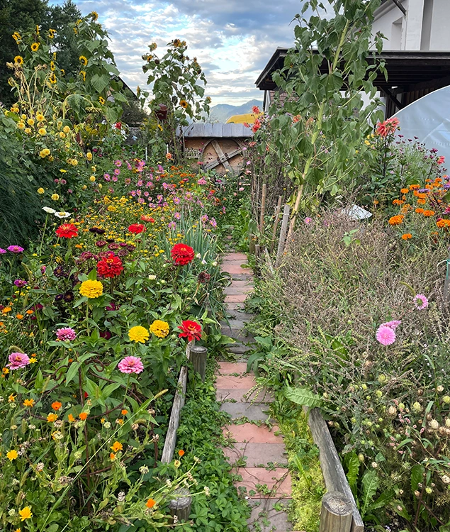 Anlegen von Blumenwiesen und Gemüsebeeten Wolfgang Wolfi Wetscher | Tiroler Unterland