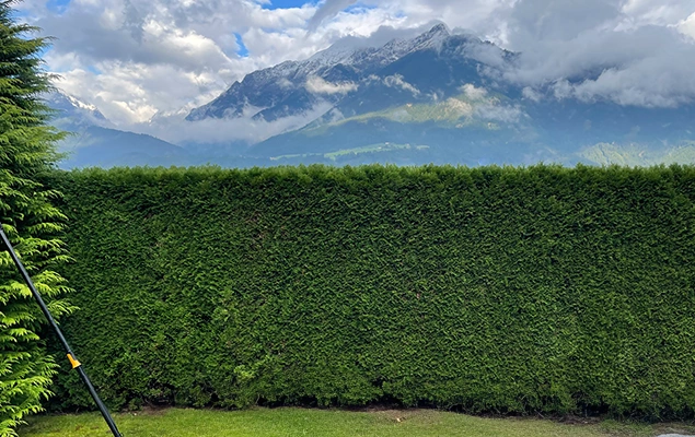 Heckenschnitt Wolfgang Wolfi Wetscher | Tiroler Unterland