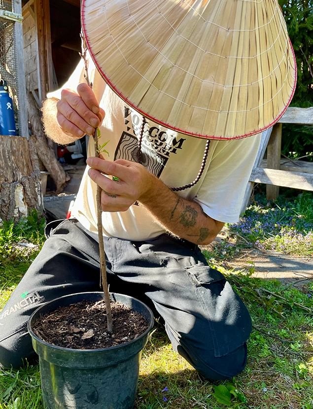 Obstbäume & Streuobst Wolfgang Wolfi Wetscher | Tiroler Unterland